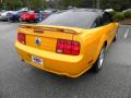 2007 Mustang GT Deluxe Coupe #11