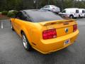 2007 Mustang GT Deluxe Coupe #13