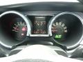 2007 Mustang GT Deluxe Coupe #19
