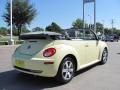 2006 New Beetle 2.5 Convertible #5