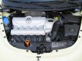 2006 New Beetle 2.5 Convertible #17