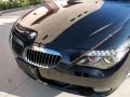 2008 6 Series 650i Convertible #8