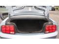 2008 Mustang V6 Deluxe Coupe #8