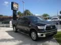 2010 Tundra Platinum CrewMax 4x4 #1