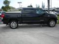 2010 Tundra Platinum CrewMax 4x4 #8