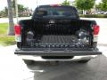 2010 Tundra Platinum CrewMax 4x4 #28