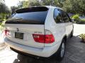 2006 X5 3.0i #14