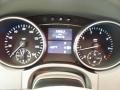 2007 ML 350 4Matic #18