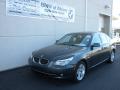 2010 5 Series 528i Sedan #2