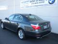 2010 5 Series 528i Sedan #3
