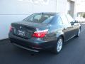 2010 5 Series 528i Sedan #21