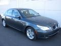 2010 5 Series 528i Sedan #23