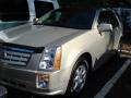 2008 SRX 4 V6 AWD #1