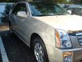 2008 SRX 4 V6 AWD #3