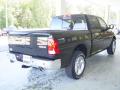 2010 Ram 1500 Big Horn Crew Cab 4x4 #3