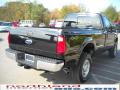 2010 F350 Super Duty XLT Regular Cab 4x4 #6