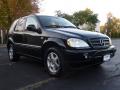 2001 ML 320 4Matic #2