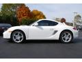 2009 Cayman  #4