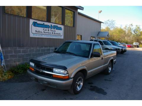 Light Pewter Metallic Chevrolet S10 LS Regular Cab. Click to enlarge. Light Pewter Metallic Chevrolet S10 LS Regular Cab. Click to enlarge.