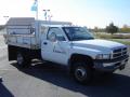 1997 Ram 3500 ST Regular Cab Chassis #8