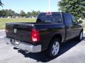 2010 Ram 1500 Big Horn Crew Cab #3