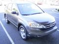 2010 CR-V LX AWD #5