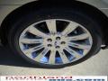 2010 MKS FWD #11