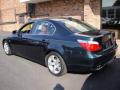 2007 5 Series 525i Sedan #4