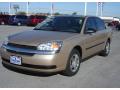 2005 Malibu Sedan #1