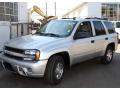2006 TrailBlazer LS 4x4 #1