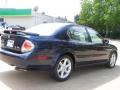 2002 Maxima SE #7