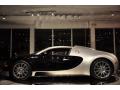 2008 Veyron 16.4 #19