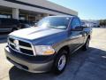 2010 Ram 1500 ST Regular Cab #7 2010 Ram 1500 ST Regular Cab #7