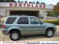 2007 Mariner Luxury 4WD #1