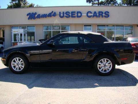 Black Ford Mustang V6 Premium Convertible.  Click to enlarge.