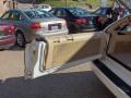 1992 Roadmaster Estate #24