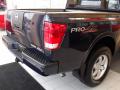 2009 Titan PRO-4X Crew Cab 4x4 #10