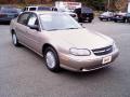 2000 Malibu Sedan #2