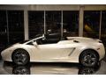2008 Gallardo Spyder #4