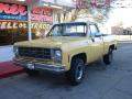 Front 3/4 View of 1977 Chevrolet C/K K10 Custom Deluxe Regular Cab 4x4 #3