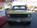 1977 C/K K10 Custom Deluxe Regular Cab 4x4 #4