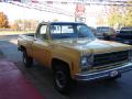  1977 Chevrolet C/K Colonial Yellow #5