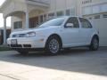 2003 Golf GL TDI 4 Door #31
