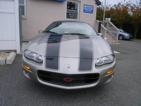 Light Pewter Metallic Chevrolet Camaro Coupe.  Click to enlarge.