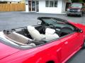 1999 Mustang GT Convertible #13 1999 Mustang GT Convertible #13