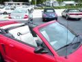 1999 Mustang GT Convertible #14 1999 Mustang GT Convertible #14