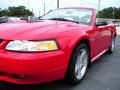 1999 Mustang GT Convertible #16 1999 Mustang GT Convertible #16