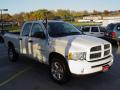 2003 Ram 1500 SLT Quad Cab 4x4 #21