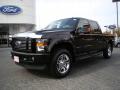 2010 F250 Super Duty Harley-Davidson Crew Cab 4x4 #6