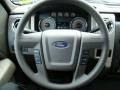 2010 F150 XLT SuperCrew #19
